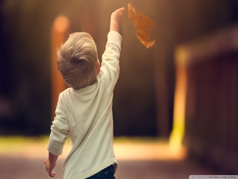 泰国试管要打针吗做石膏试管用土试管移植后用伟哥