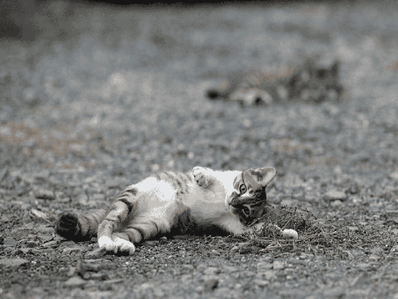 沈阳地下试管机构电话试管配血操作西北妇幼试管果